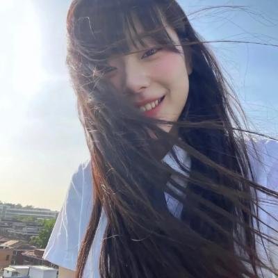 苦菜花